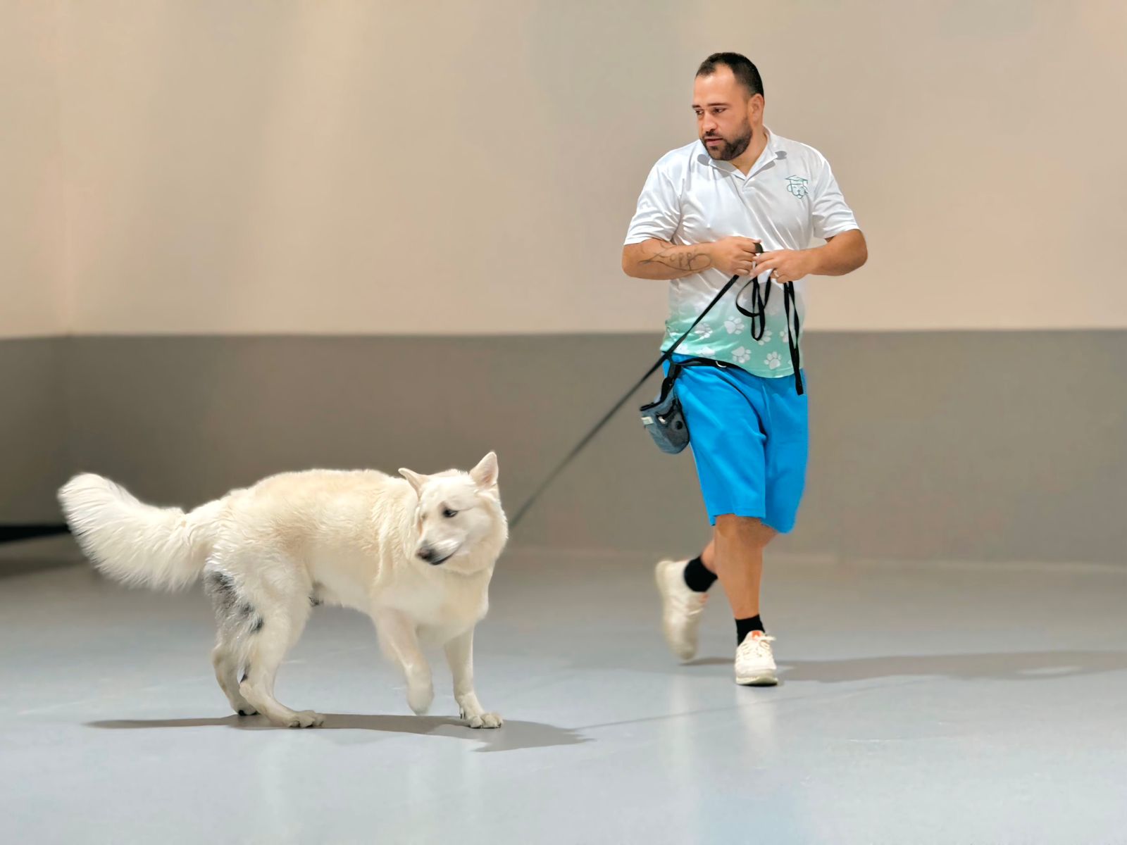 Dog participating in behavior modification program at Olivier Zoppi's training center.