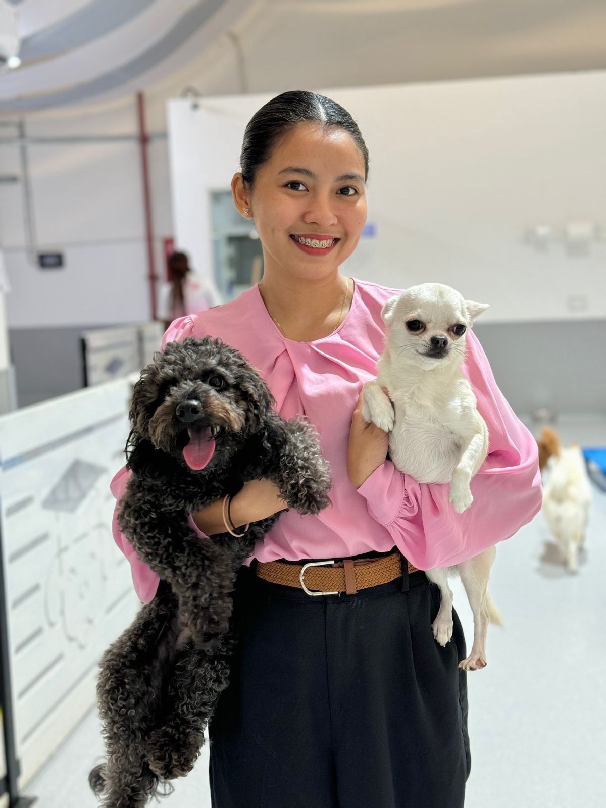 Small dog being held by a trainer during a board and train program.