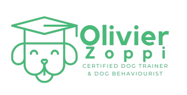 Olivier Zoppi Logo with transparent background