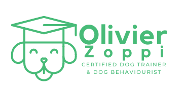 Olivier Zoppi Logo