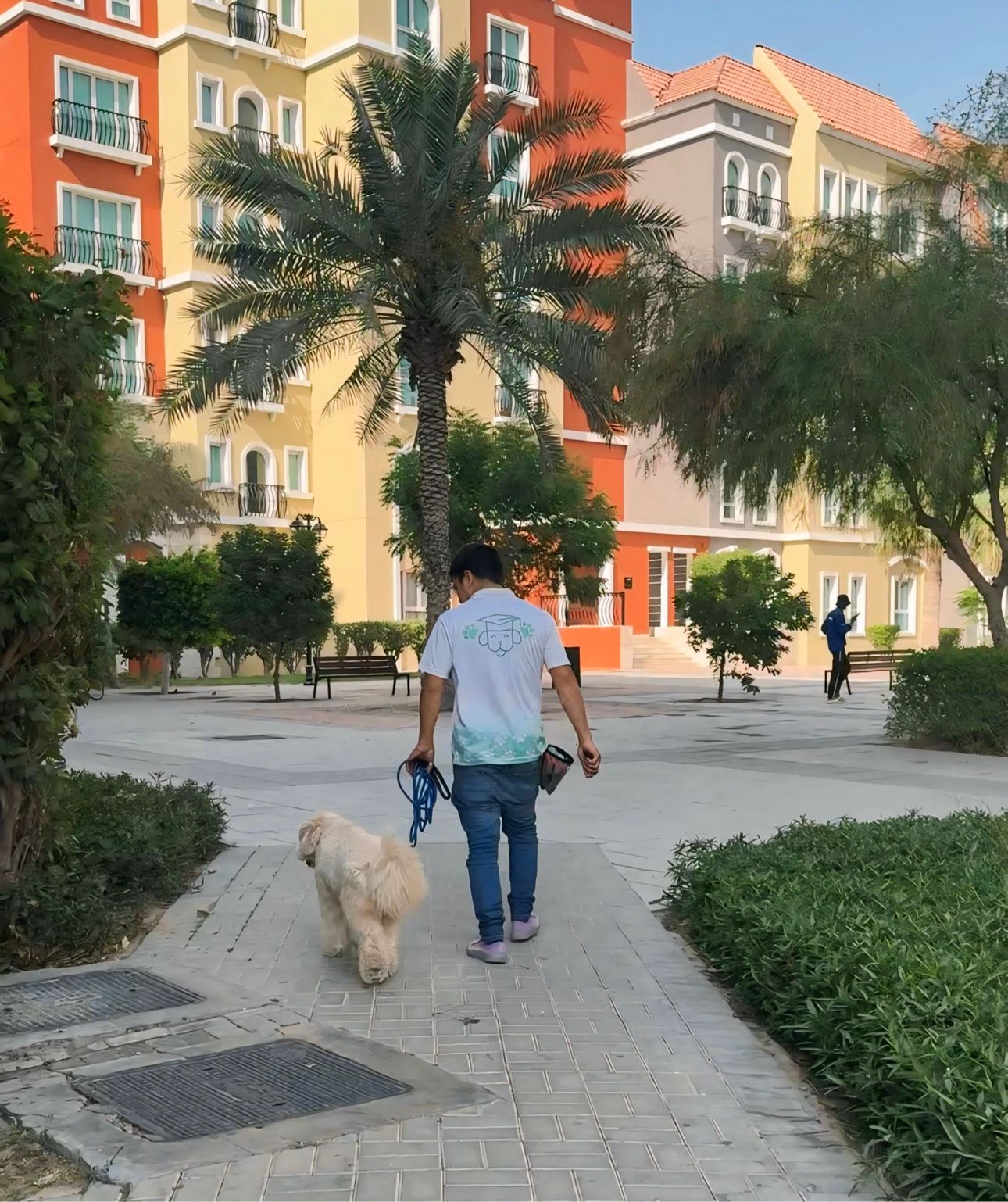 Trainer walking a dog in a residential area during a private session.